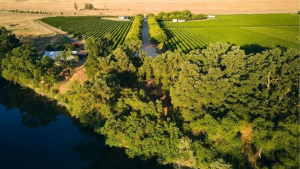 ag land